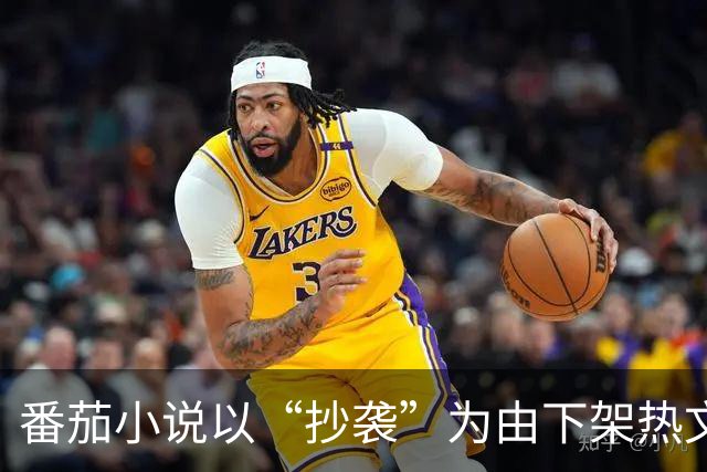 番茄小说以“抄袭”为由下架热文被指缺乏实锤，作者申诉遭禁言